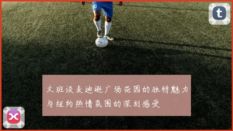 文班谈麦迪逊广场花园的独特魅力与纽约热情氛围的深刻感受